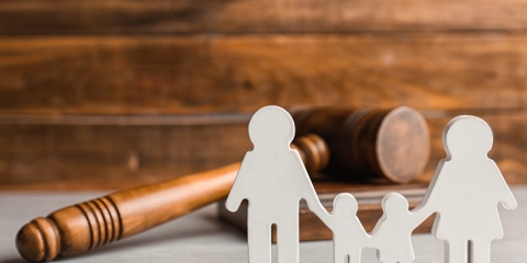 Raising Teens in a Politically Divisive World: A Guide for Parents and Co-Parents Photo